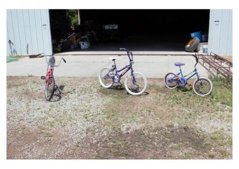 Three Girls Bicycles